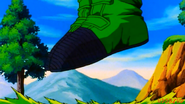 Videl vuelo