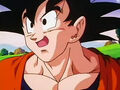 Dbz248(for dbzf.ten.lt) 20120503-18243153