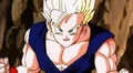 Gohan ready