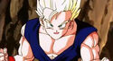 Gohan ready