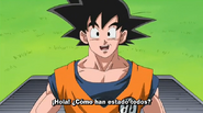 Goku (¡Hey! Goku y sus amigos regresan)
