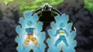 Koicealeta | Dragon Ball Wiki Hispano | Fandom
