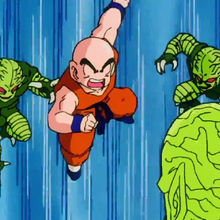 Saibamen Dragon Ball Wiki Fandom Pinpng.com collects million of free transparent png images, cliparts and icons. saibamen dragon ball wiki fandom