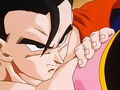 Dbz248(for dbzf.ten.lt) 20120503-18282232