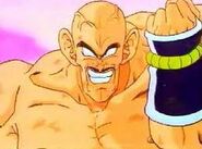 Nappa5