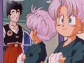 Gohan and Trunks