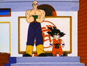 Tien and Goku enter the arena