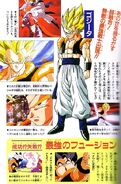 Gogeta scan book