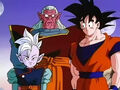 Dbz241(for dbzf.ten.lt) 20120403-17155192