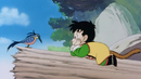 Gohan looking at a blue bird on a log