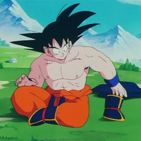 Weighted Clothing Dragon Ball Wiki Fandom Choose from hundreds and hundreds of different anime inspired workout routines and read the research that goes with each character. weighted clothing dragon ball wiki