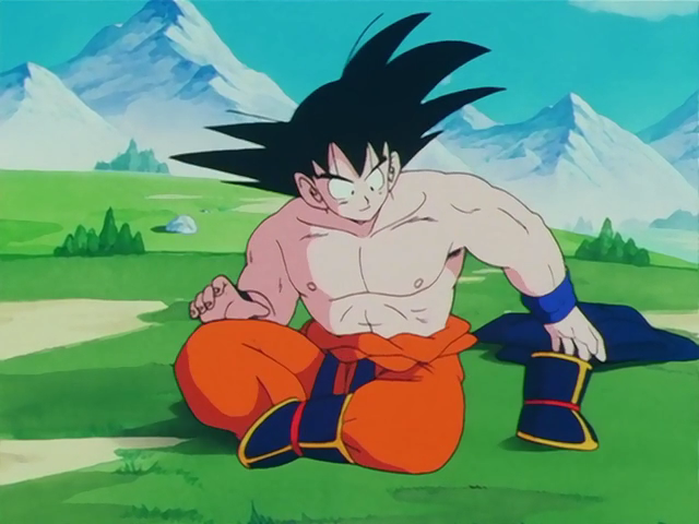 Goku Damged Clothes