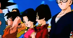 Granddaughter Pan, unbirth, raditz, videl, dragon Ball Heroes, piccolo,  dragon Ball Gt, school Uniform, pan, dragon Ball Super