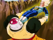 Vegetakick2