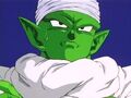 Piccolo