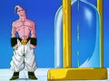 Dbz241(for dbzf.ten.lt) 20120403-17113935