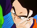 Dbz249(for dbzf.ten.lt) 20120505-12023994