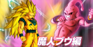 SS3 Goku vs. Kid Buu