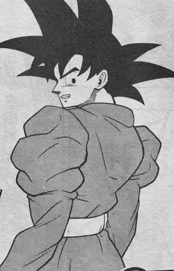 Goku/Gallery, Dragon Ball Wiki, Fandom