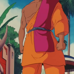 カテゴリ 人間 Dragon Ball Wiki Fandom