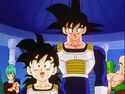 Gohan and Goku