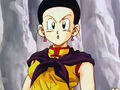 DBZ - 224 -(by dbzf.ten.lt) 20120303-15170459