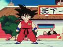 Goku standing in the ring