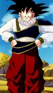 Gokû en tenue Yardrat.