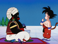 Mr. Popo with birds on him