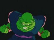 EarlyKingPiccolo