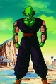 Piccolo