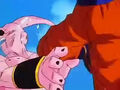 Dbz248(for dbzf.ten.lt) 20120503-18292763