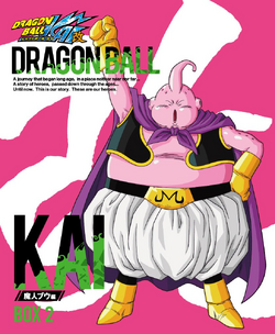 DRAGON BALL Z DVD Saga De Majin Buu Español Latino SPANISH 89 EPISODIOS New