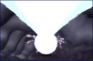 Goku's Kamehameha vaporizes God Guardons in Plan to Eradicate the Saiyans