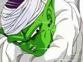 Piccolo