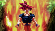 Goku se transforma en Super Saiyan Dios