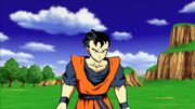 Potential Unleashed Future Gohan