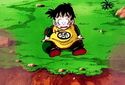 Gohan