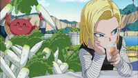 Android18 & kado