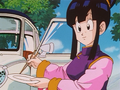 Chi-Chi recalls the story of how Goku obtained his license