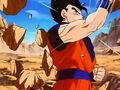 Dbz249(for dbzf.ten.lt) 20120505-11563524