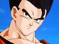 Dbz249(for dbzf.ten.lt) 20120505-11591559