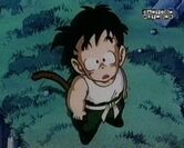 Gohan Moon