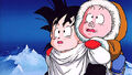 Gohan and Oolong