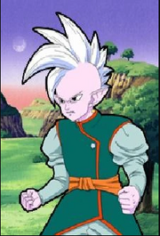 Future Shin (Shin Budokai - Another Road)