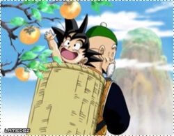 Son Gohan | Dragon Ball Wiki Hispano | Fandom Son Gohan | Dragon Ball Wiki Hispano | Fandom