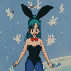 Costume De Lapin Wiki Dragon Ball Fandom