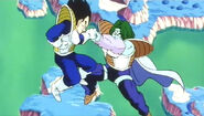 Vegetavszarbonr1