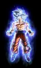 DWkNh8IW0AEeq08.jpg (103 KB) Full body view of Perfected Ultra Instinct Goku in Xenoverse 2