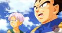 Vegeta and Trunks